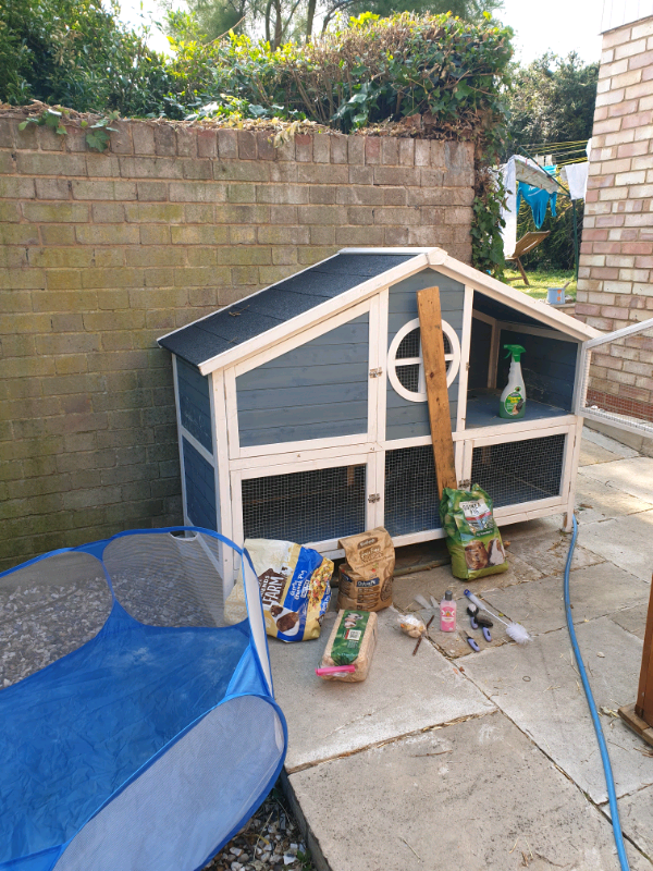 Guinea pigs 2 story large home with accessories and food in Mill Hill
