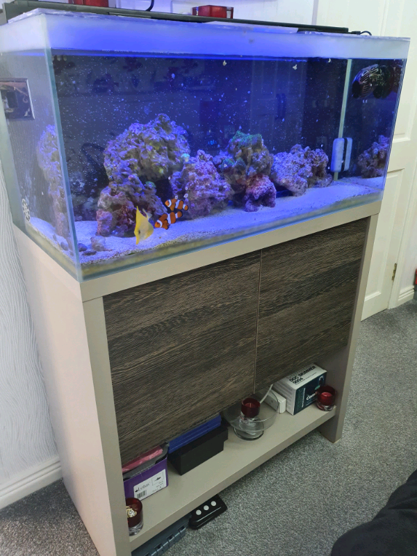 Fluval M90 marine fish tank in Cookstown, County Tyrone Gumtree