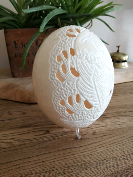 Ostrich Egg for sale in UK | 24 second-hand Ostrich Eggs