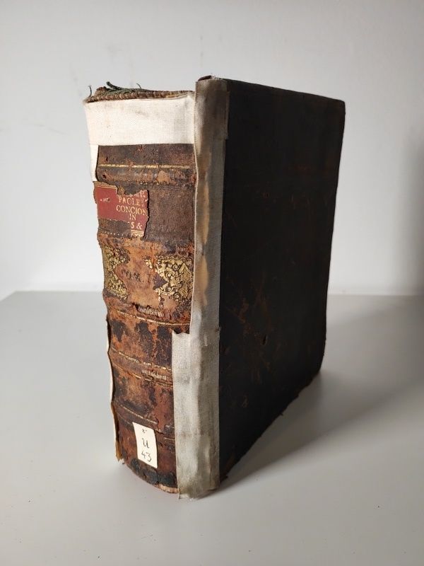 Discursus Praedicabiles Sive Viridarium Sacrarum Concionum In Dominicas Et Festa