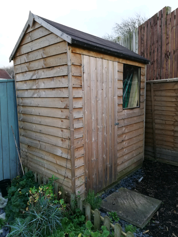 shed for sale in langley park, county durham gumtree