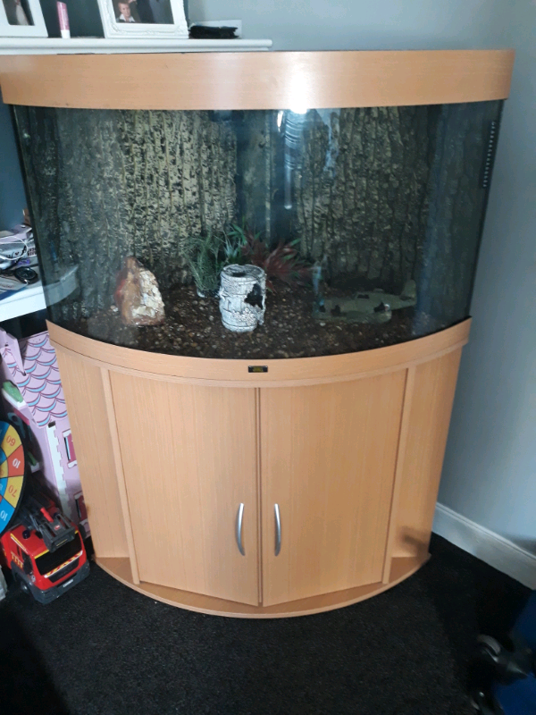 Jewel 190 corner fish tank in Sheffield, South Yorkshire