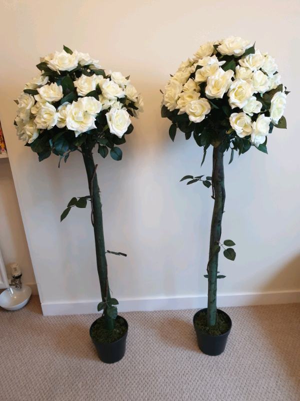 Artificial decorative white rose trees in Chesser, Edinburgh Gumtree