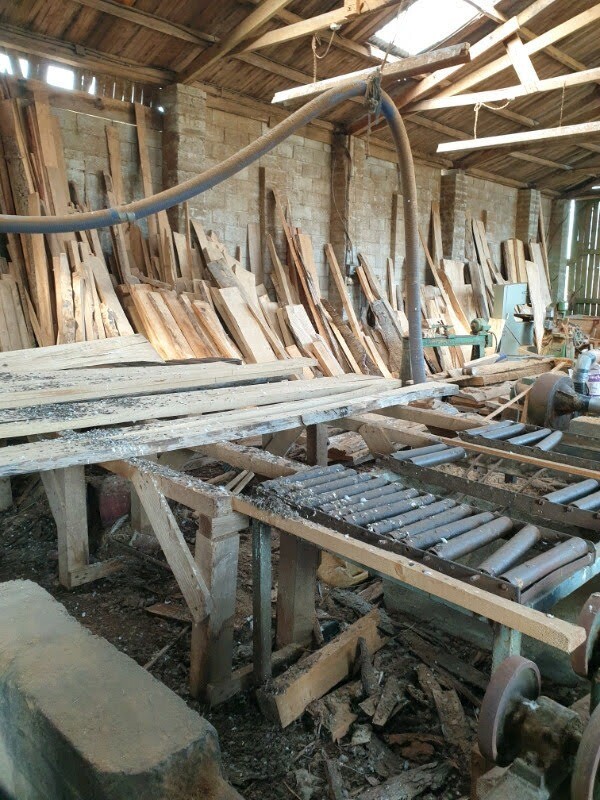 Job lot hard wood plank timber slab oak olive ash yew 
