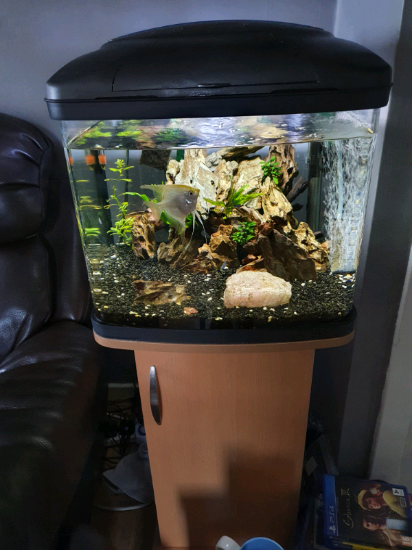 Fishbox 48L fish tank aquarium in Newbridge, Edinburgh Gumtree