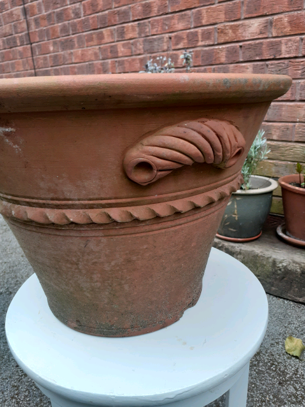 Terracotta garden plant pot planter in Hull, East Yorkshire Gumtree