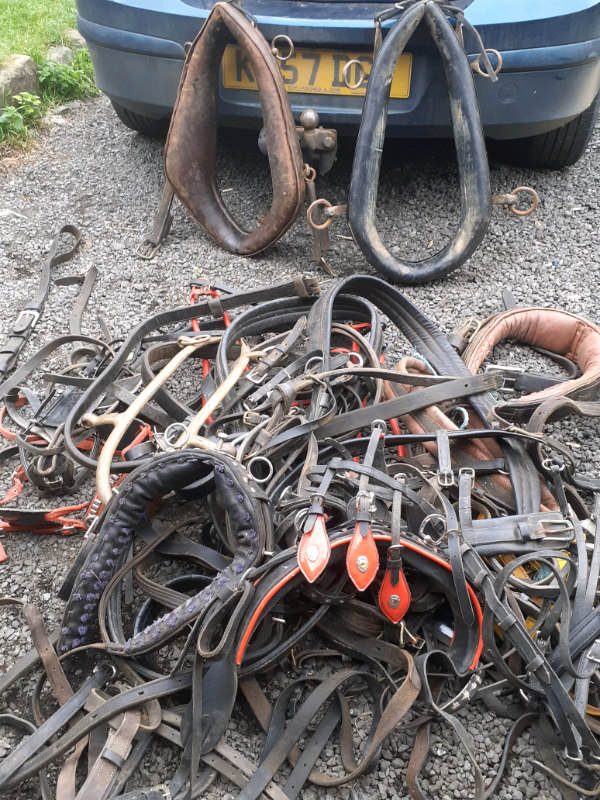 Horse tackle in Auckland, County Durham Gumtree