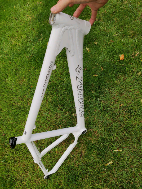 chameleon frame santa cruz