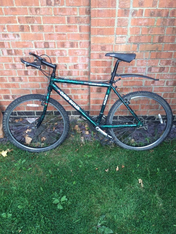 outcross fat tire electric bike costco