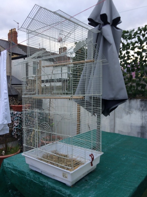 Double size bird cage, canaries, budgies, finches, passarines in