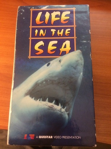 その他 Nova: Under the Sea - Real World of Sharks Dolphin [DVD] 51EA1RW13QL._UF350,350_QL50_.jpg