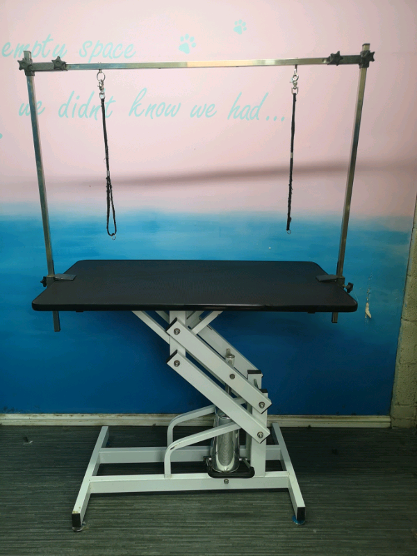 Hydraulic dog grooming table in WestonsuperMare, Somerset Gumtree