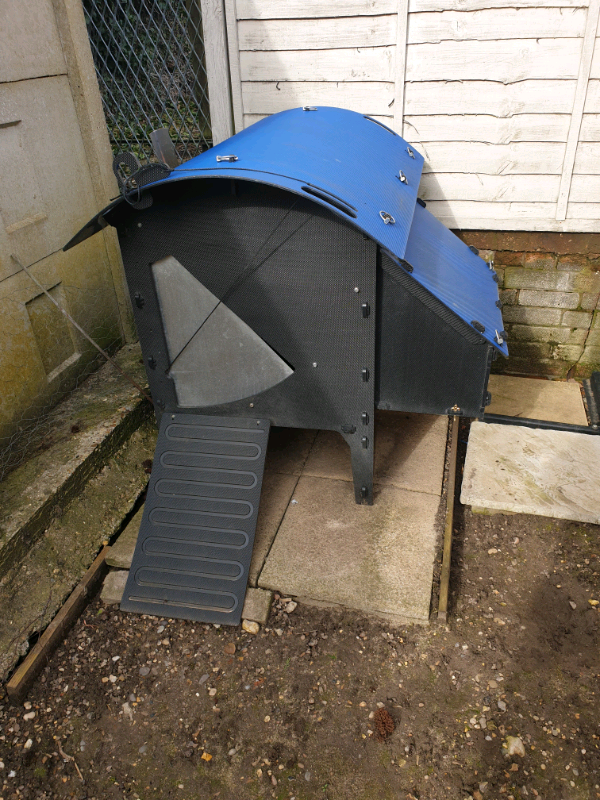 Green frog chicken coop in Norwich, Norfolk Gumtree