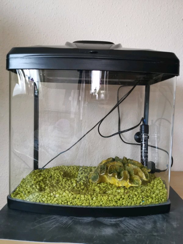 Fish tank 30L in Bournemouth, Dorset Gumtree