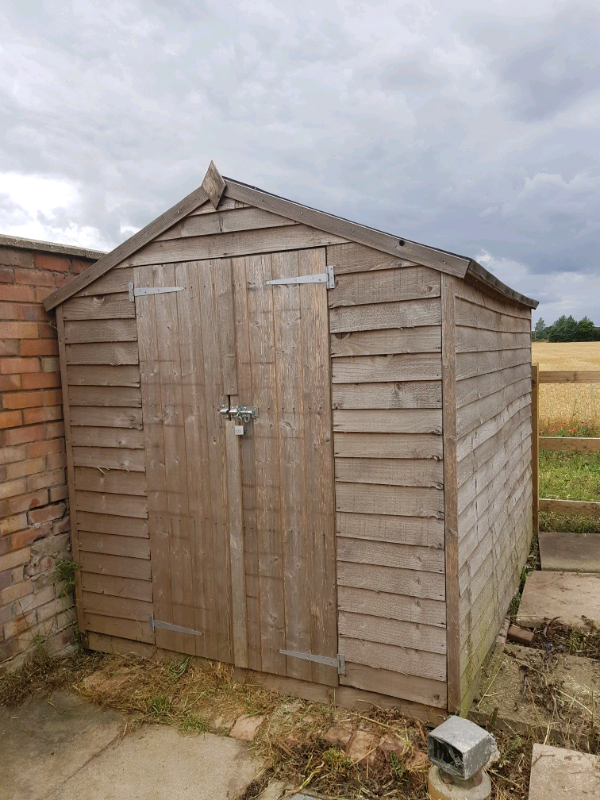 8 x 6 ft shed in Ipswich, Suffolk Gumtree