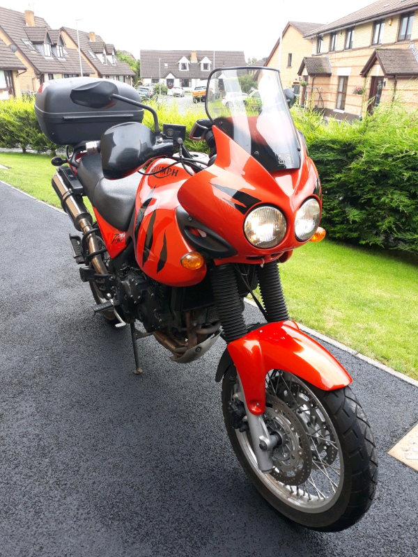 2004 triumph tiger 955i