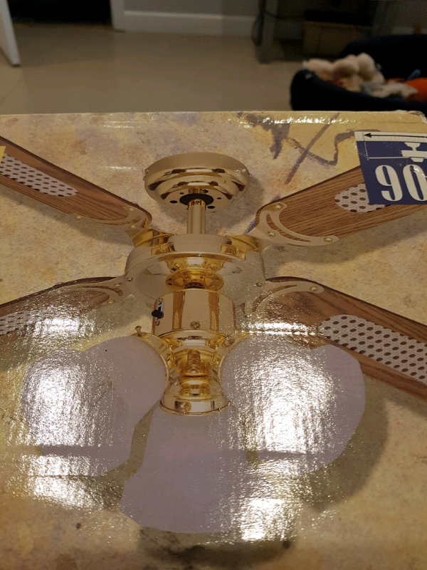 Encon Ceiling Fan With Light Fitting In March