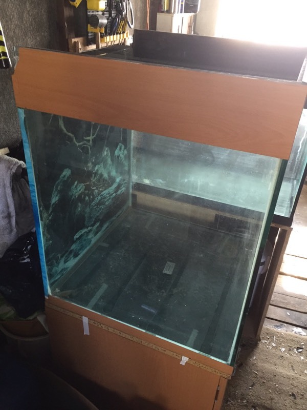 2ft square fish tank in Aylesham, Kent Gumtree