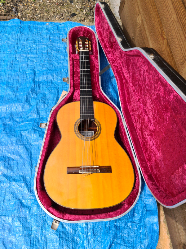 Sakurai Concert J Classical Guitar in Thetford, Norfolk Gumtree