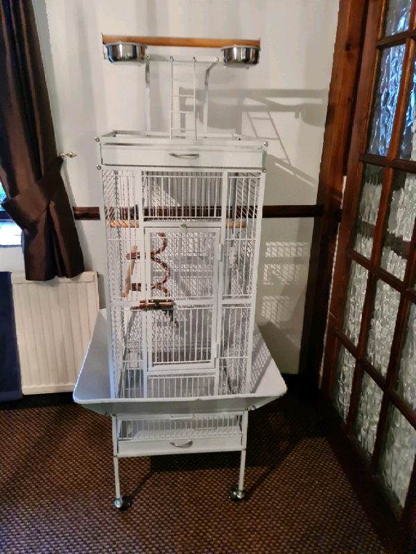 Small parrot cage in Plymouth, Devon Gumtree