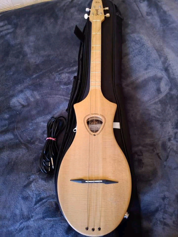 Merlin M4 Electric Dulcimer Strumstick with Gigbag in Codsall, West