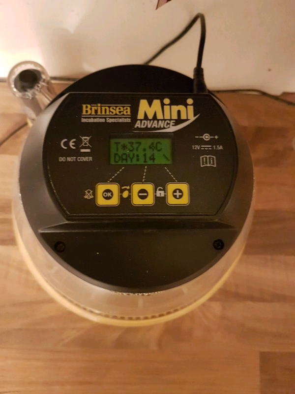 Duck egg incubator for sale uk
