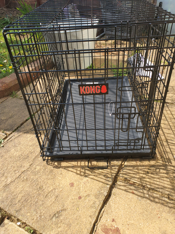 Medium kong dog crate in Bedford, Bedfordshire Gumtree