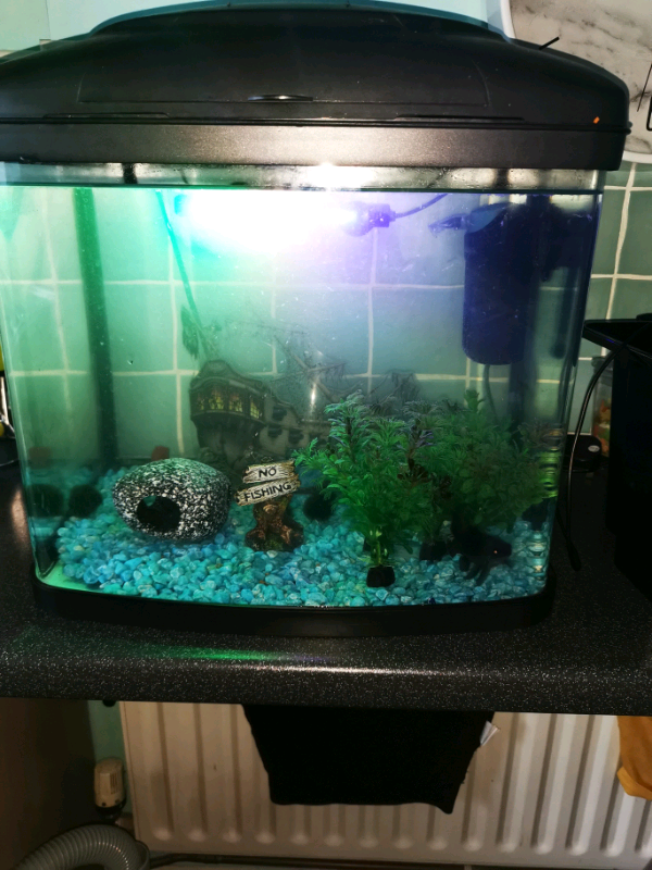 40 litre fish tank in Holywood, County Down Gumtree