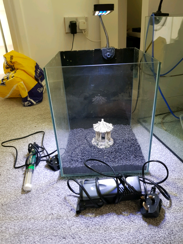Fluval chi fish tank full setup in North Shields, Tyne and Wear Gumtree