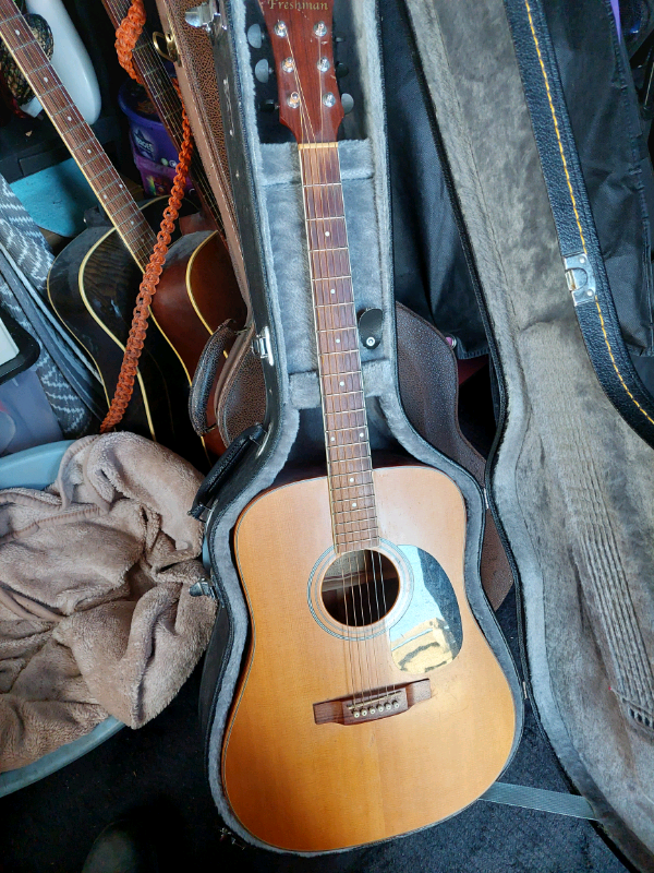 Freshman Acoustic Guitar in Hamilton, South Lanarkshire Gumtree
