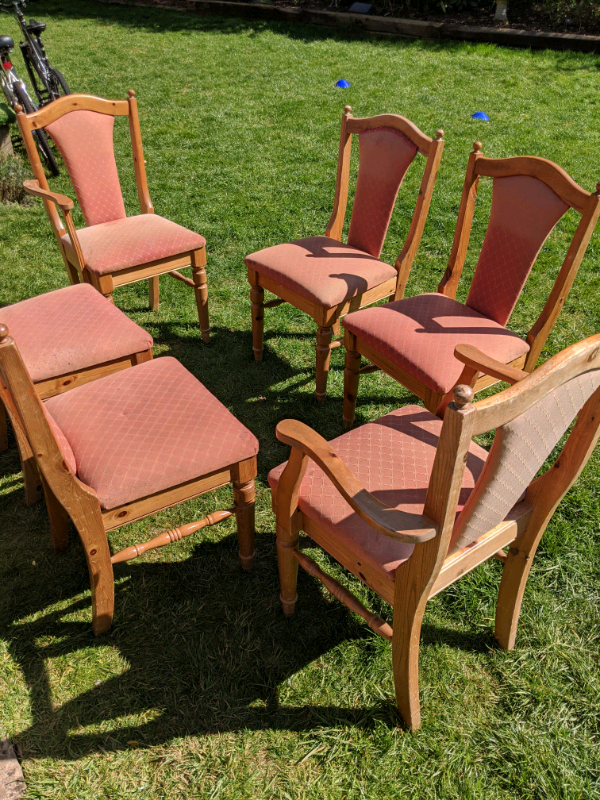 6 Ducal Dining Chairs in Newtownabbey, County Antrim Gumtree