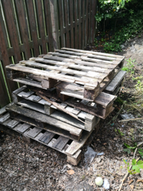 Firewood For Sale Freebies Free Stuff Gumtree