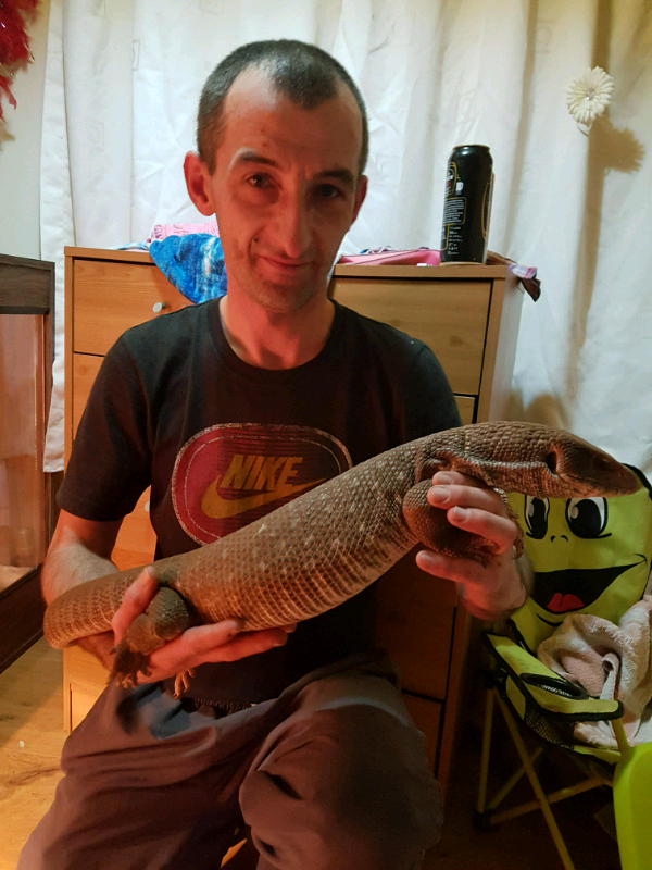 Bosc monitor for sale in Leeds, West Yorkshire Gumtree