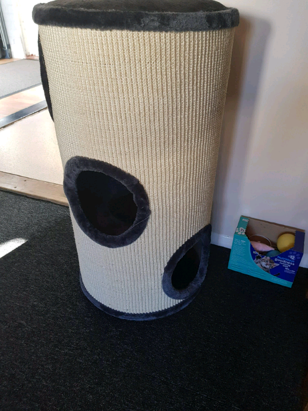 Cat scratch barrel in Sudbury, Suffolk Gumtree