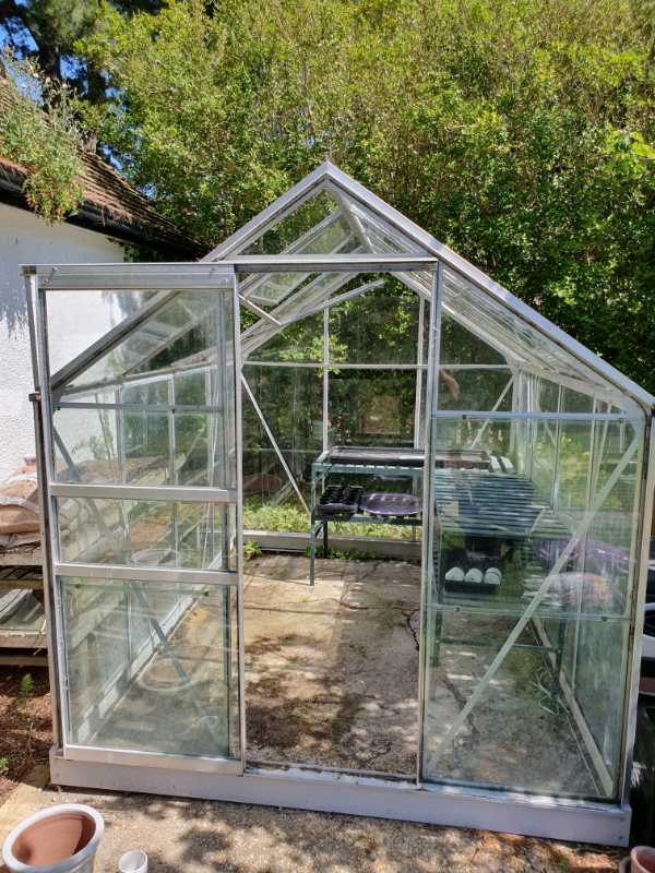 Greenhouse 6 x 8 in Poole, Dorset Gumtree