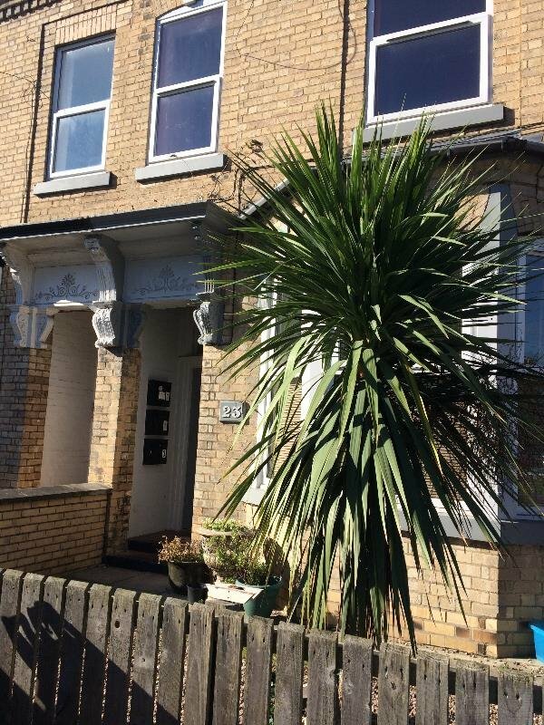 ONE BEDROOM FIRST FLOOR FLAT DOVER STREET HULL NO BOND OR DEPOSIT