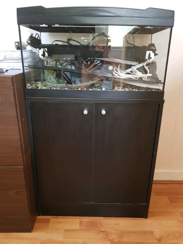 Fish tank with in Peterculter, Aberdeen Gumtree