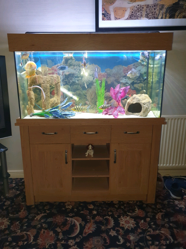 4ft aqua one fish tank in Dundonald, Belfast Gumtree