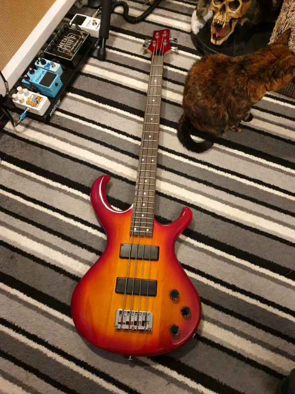 Wesley bass guitar in Newcastle, Tyne and Wear Gumtree
