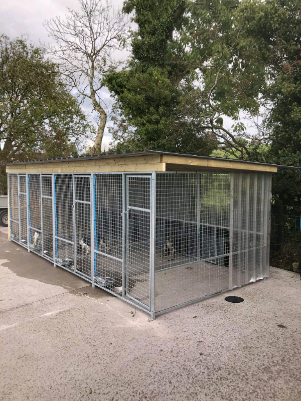 Large dog pens galvanized panels and cages in Armagh, County Armagh