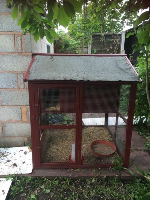 Chicken coop straw,hay &amp; large bag off laying pellets | in Codsall ...