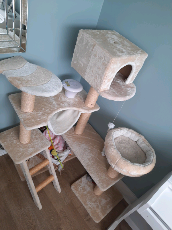 Gingerbread House Cat Tree with Ladder 165cm in Hartley Wintney