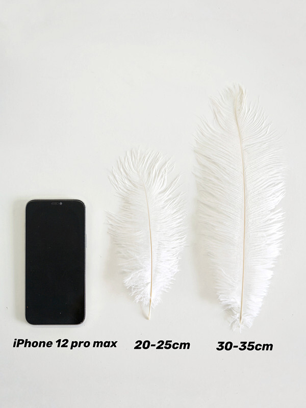 Wholesale 10/50/100pcs Ostrich Feathers 6-28 inch/15-70cm Wedding Party Decor