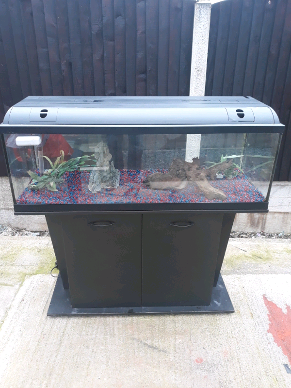 Large Fish tank 4ft in Sheffield, South Yorkshire Gumtree