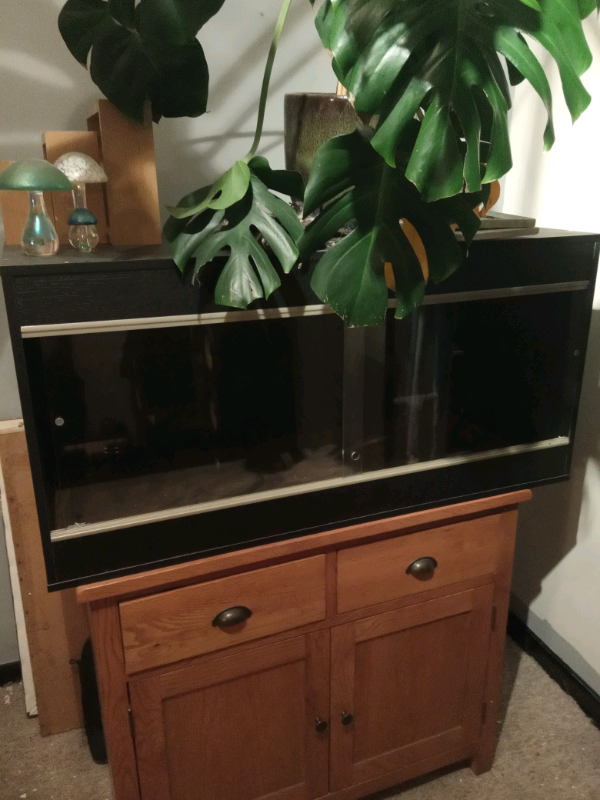 Large reptile vivarium in Tillicoultry, Clackmannanshire Gumtree