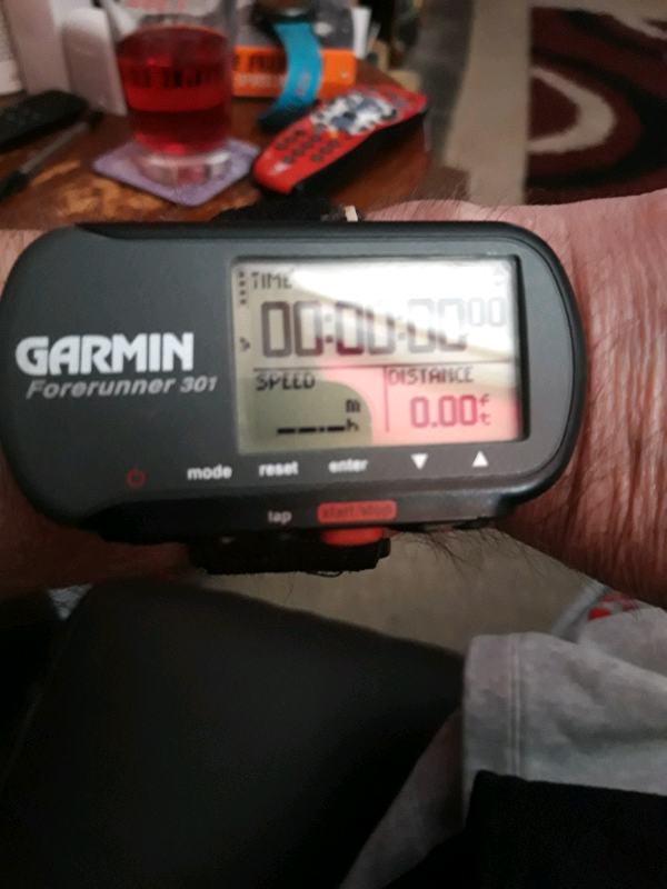 garmin forerunner 301