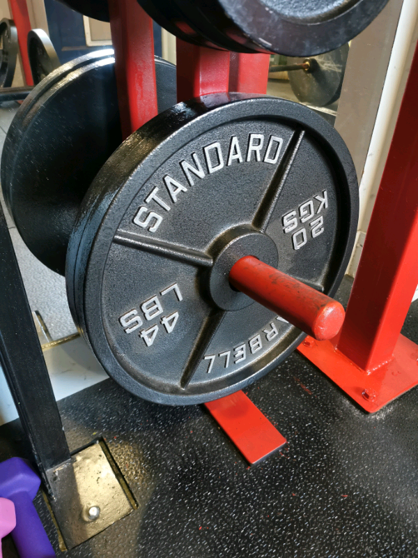 20kg weight plates in Ellon, Aberdeenshire Gumtree