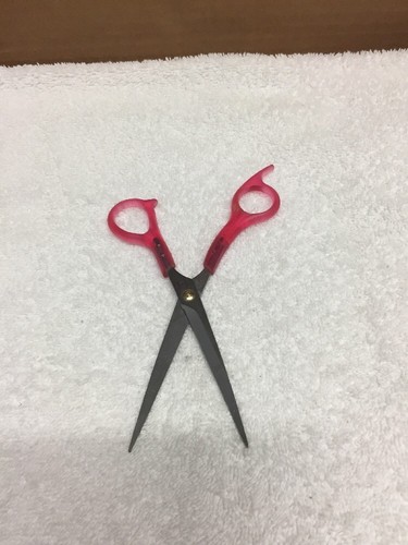 Conair Scissors