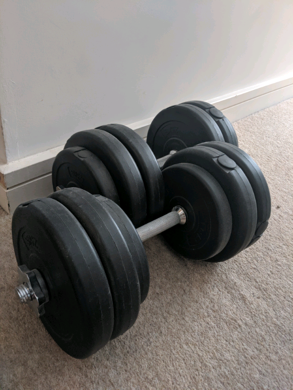Dumbbells weights 12.5kg x 2 in Tower Hamlets, London Gumtree