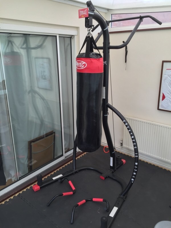 REDUCED Everlast MMA Omnistrike fitness/gym punch bag stand in